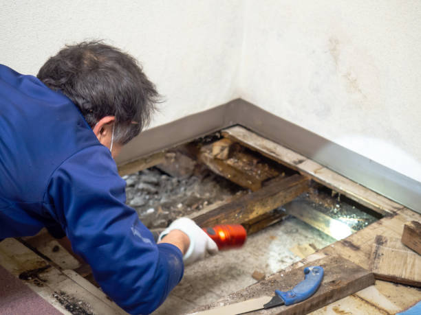 Best Crawl Space Mold Removal  in Sun Valley, PA