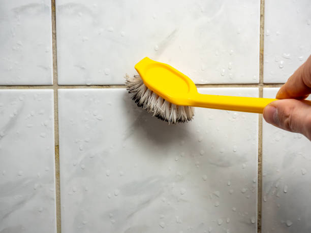 Best Attic Mold Removal  in Sun Valley, PA