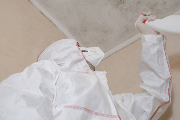Office Mold Removal Services in Sun Valley, PA